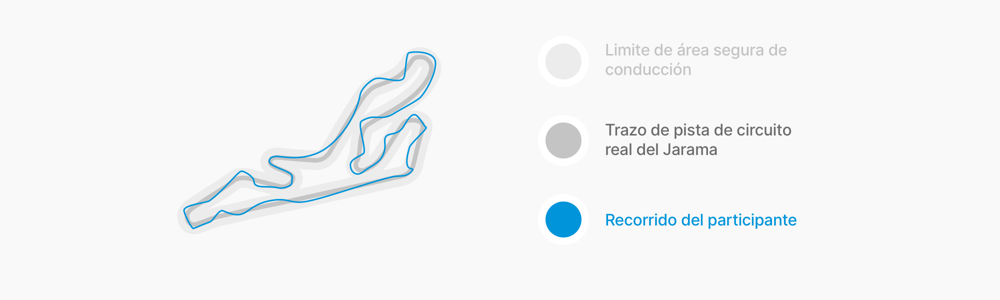 Anatomía de pista